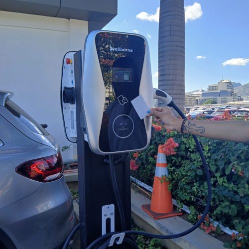 WhatsApp Image 2024-08-01 at 14.07.22